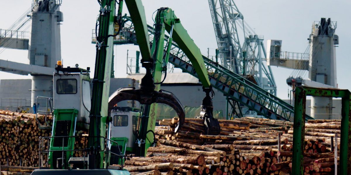Comercio madera 01